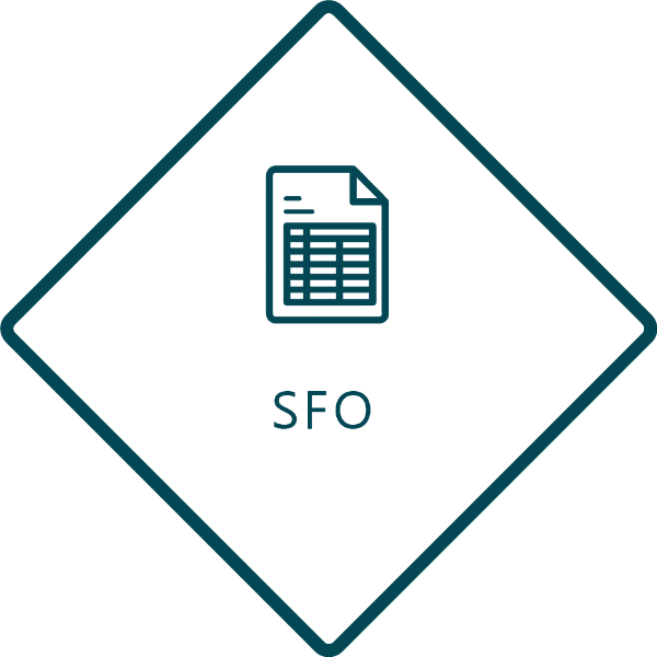 DHC VISION - SFO Software Logo