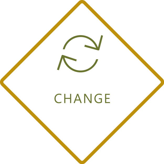 This image shows change management