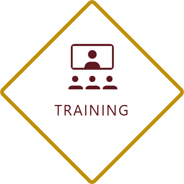 DHC VISION - Training Software Logo
